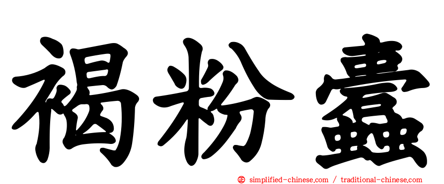 褐粉蠹