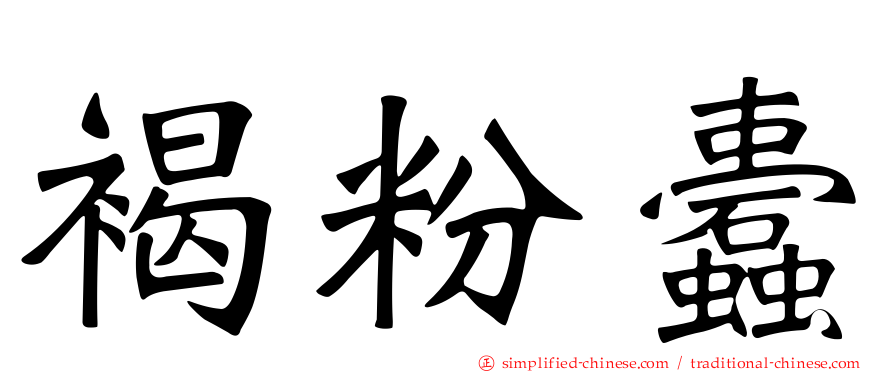 褐粉蠹