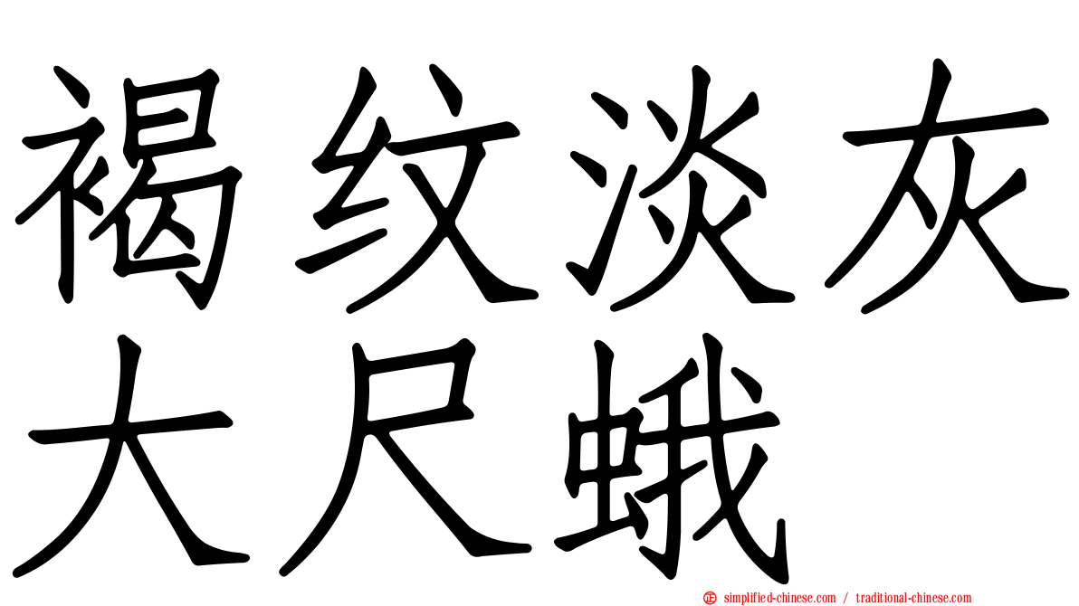 褐纹淡灰大尺蛾