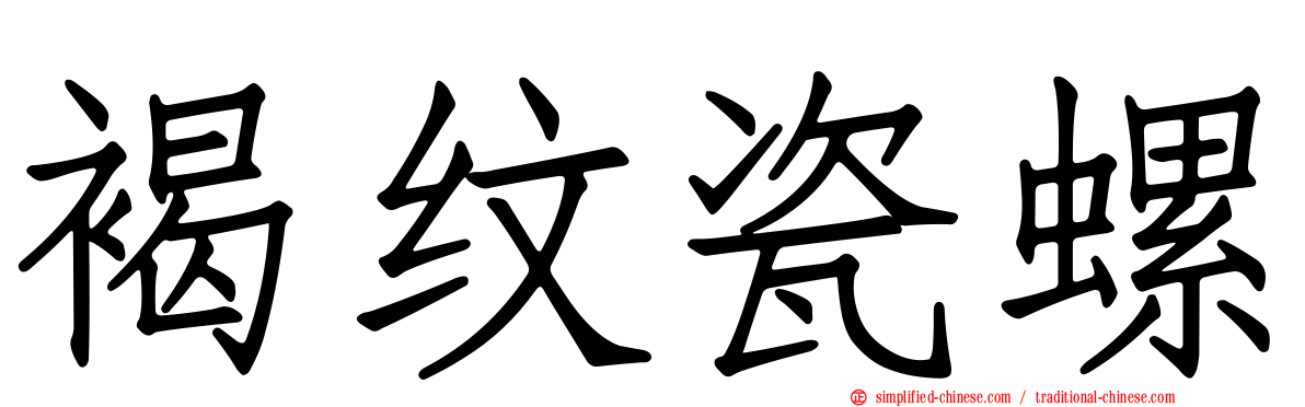 褐纹瓷螺