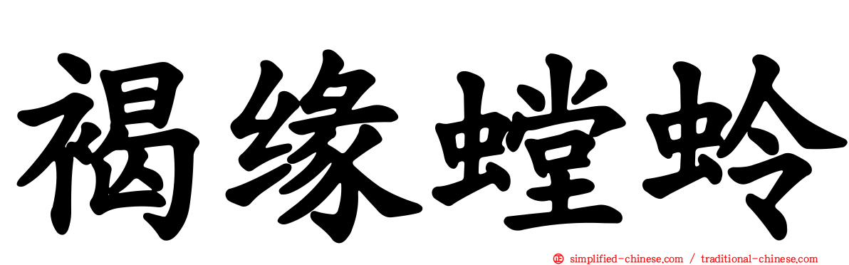 褐缘螳蛉
