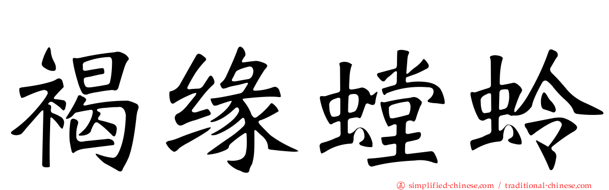 褐缘螳蛉