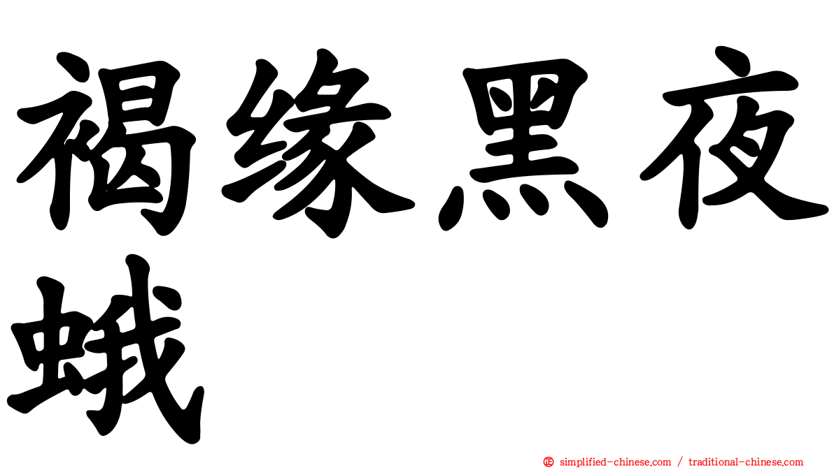 褐缘黑夜蛾