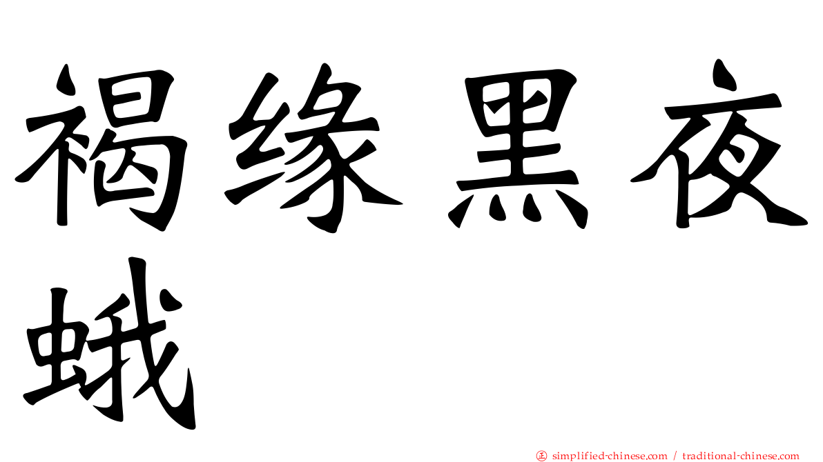 褐缘黑夜蛾