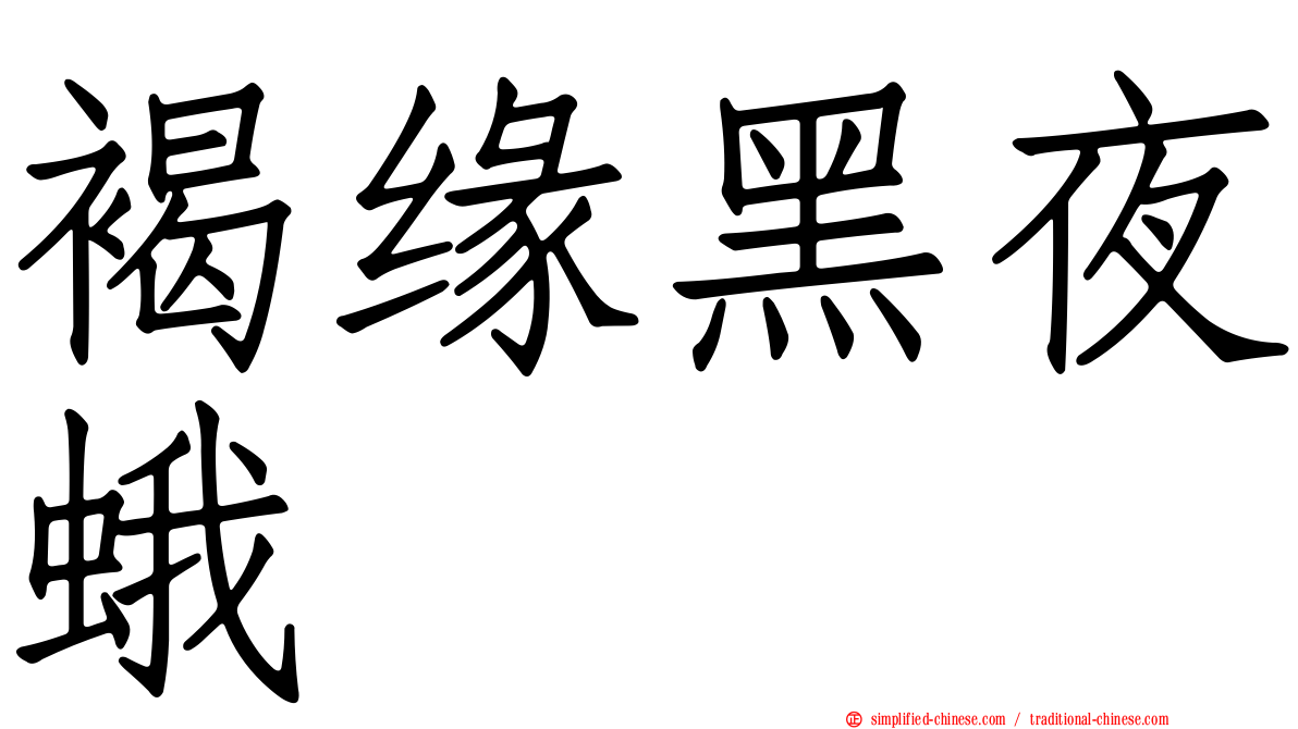 褐缘黑夜蛾