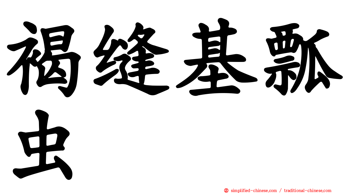 褐缝基瓢虫