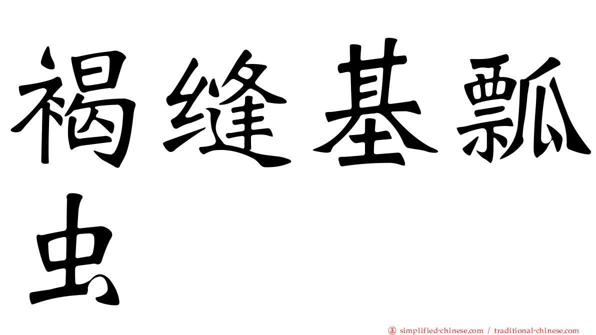 褐缝基瓢虫