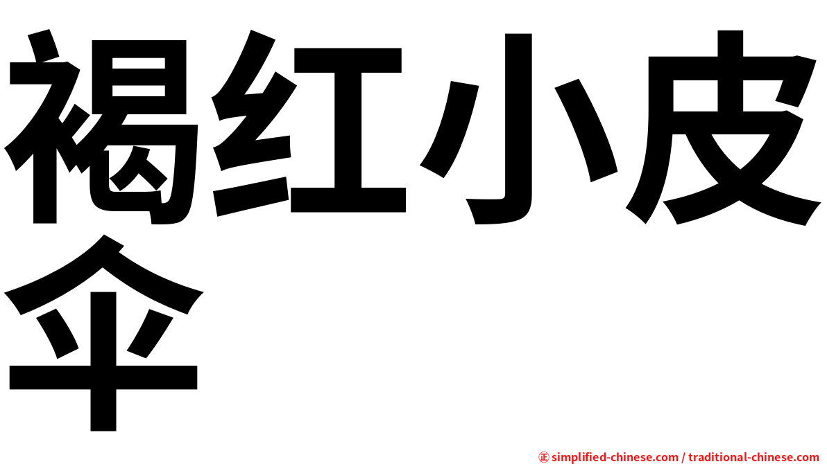 褐红小皮伞