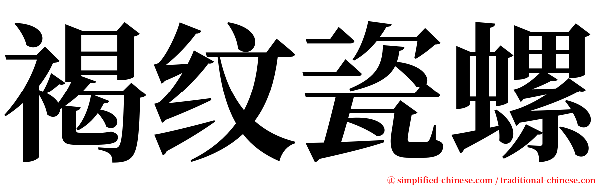 褐纹瓷螺 serif font