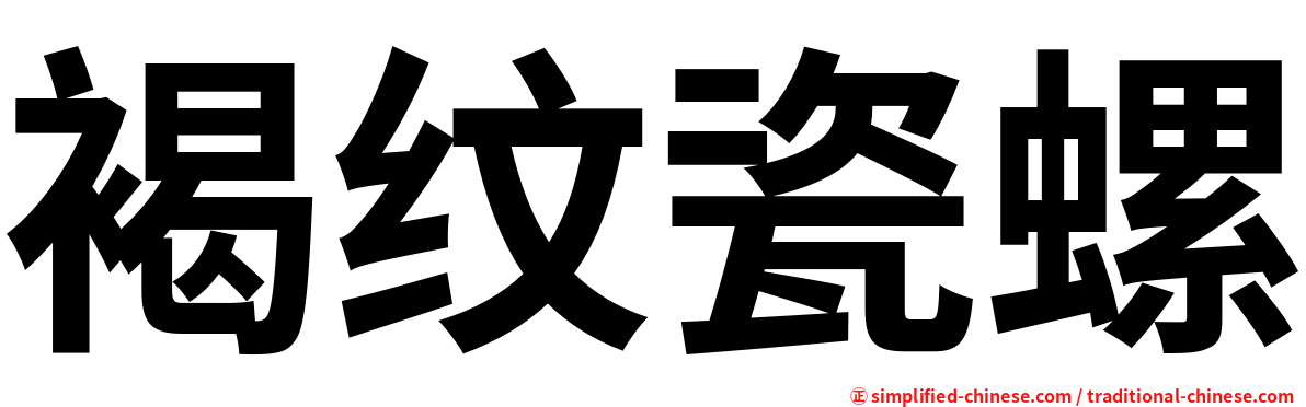 褐纹瓷螺