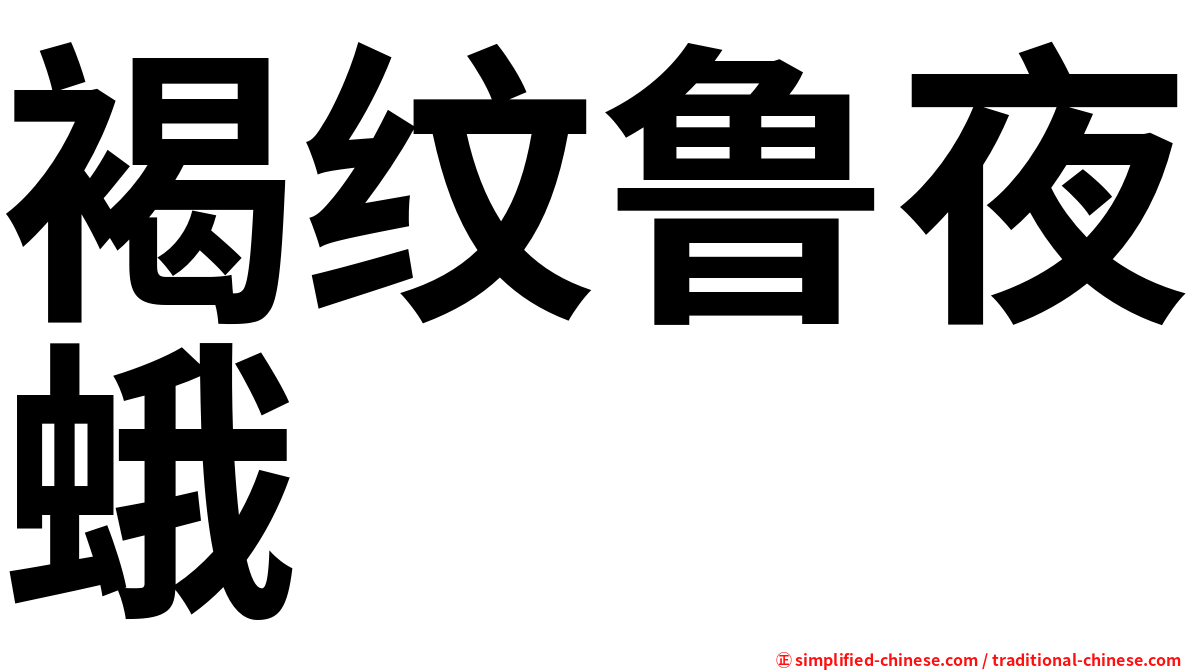 褐纹鲁夜蛾
