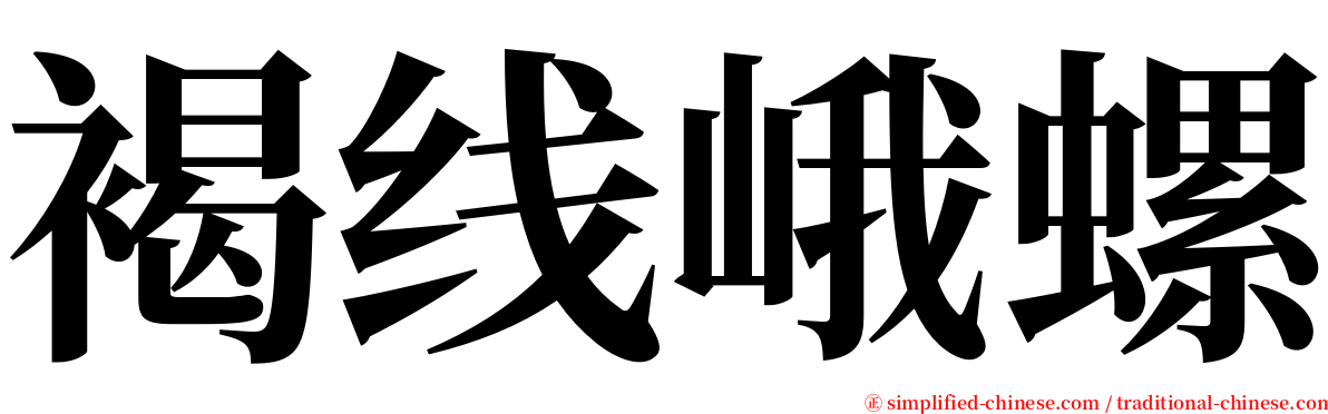 褐线峨螺 serif font