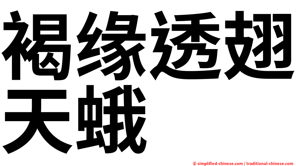 褐缘透翅天蛾