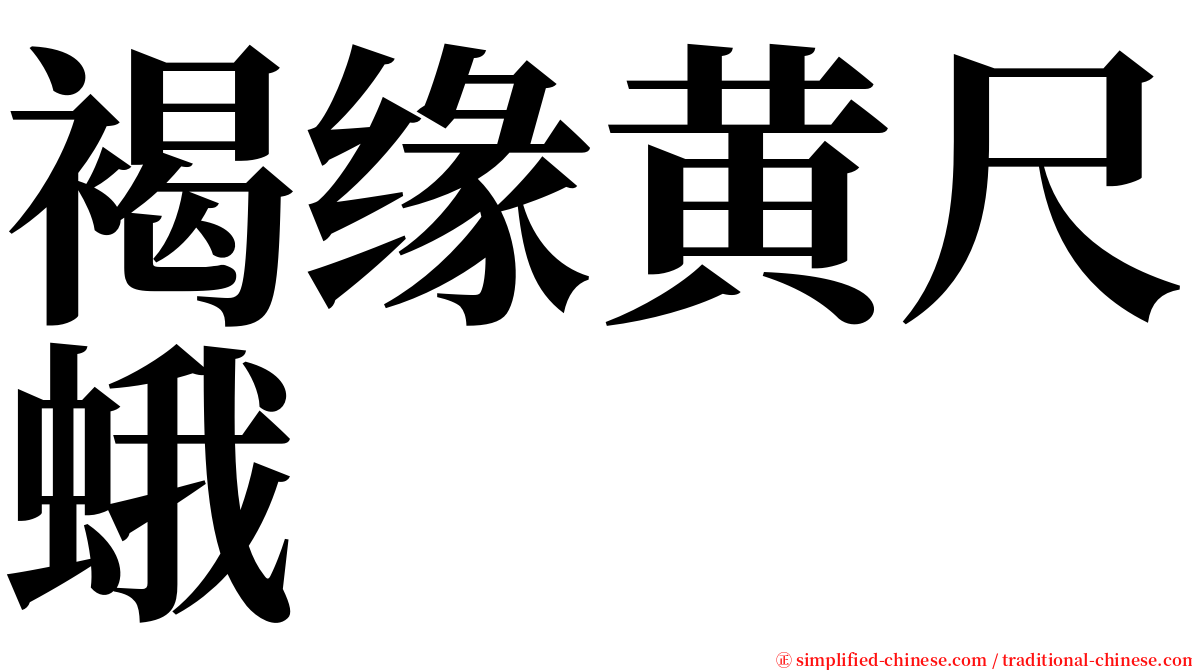 褐缘黄尺蛾 serif font