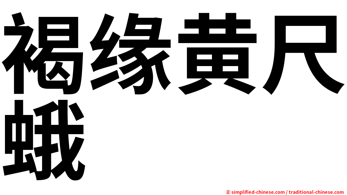 褐缘黄尺蛾