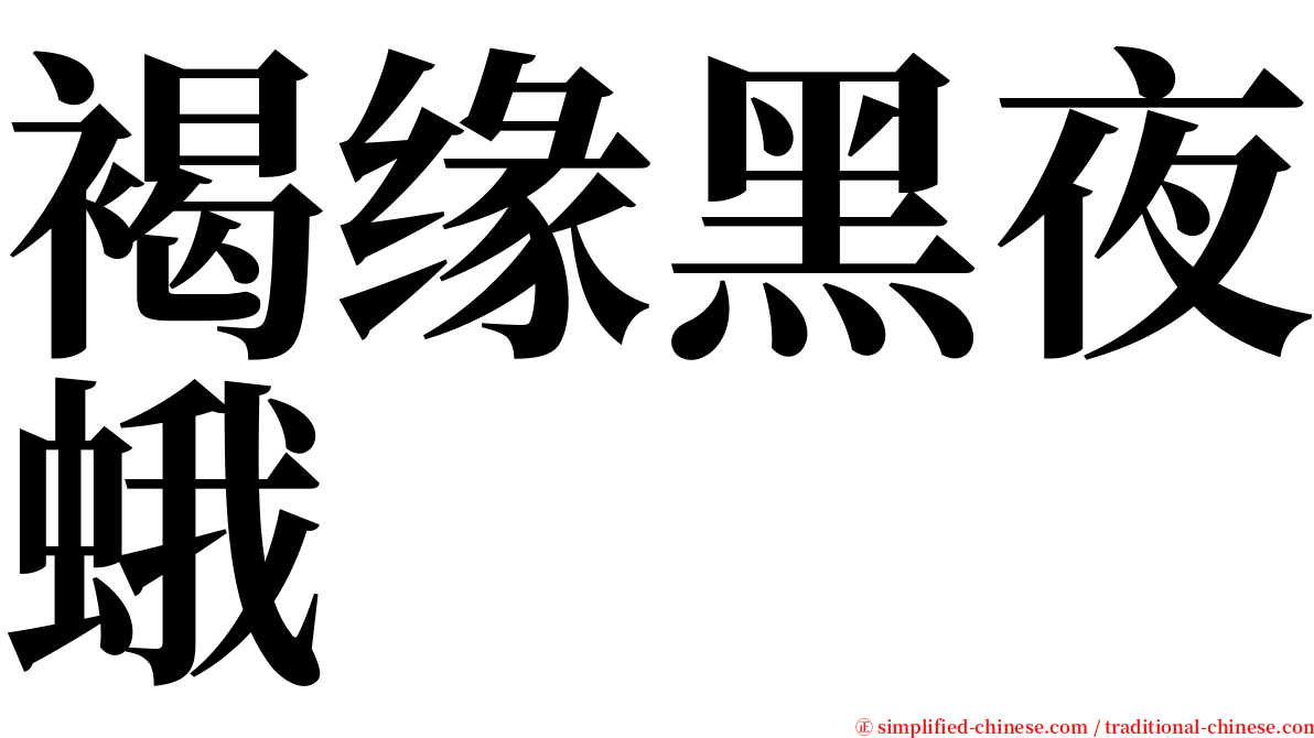 褐缘黑夜蛾 serif font