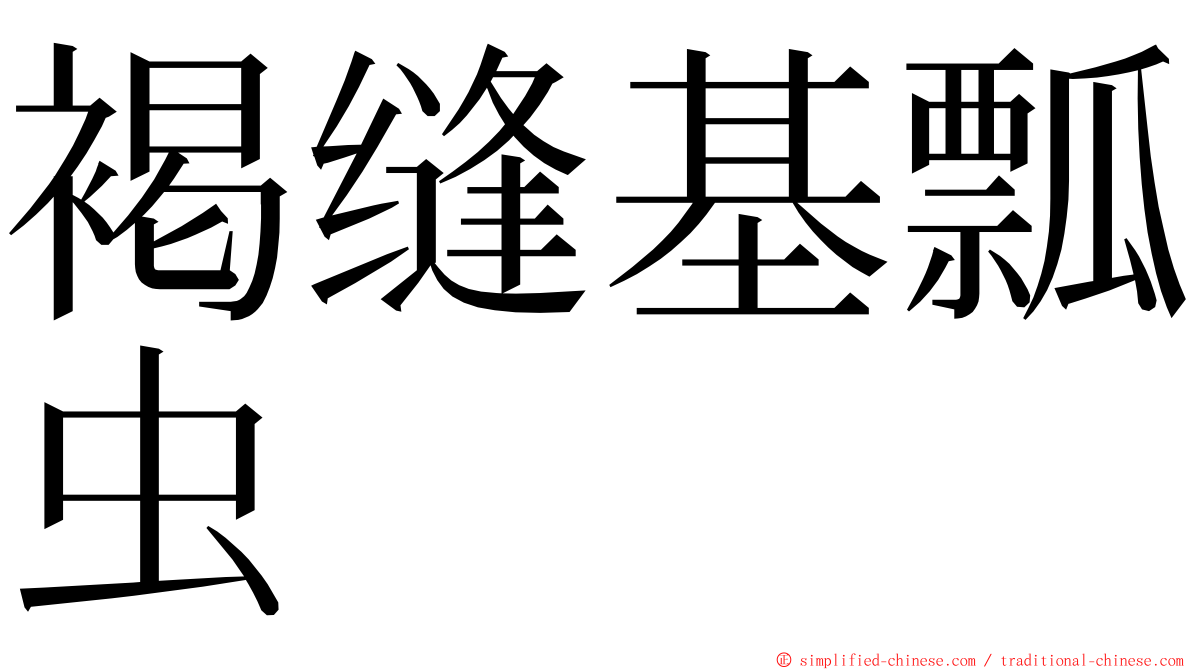 褐缝基瓢虫 ming font