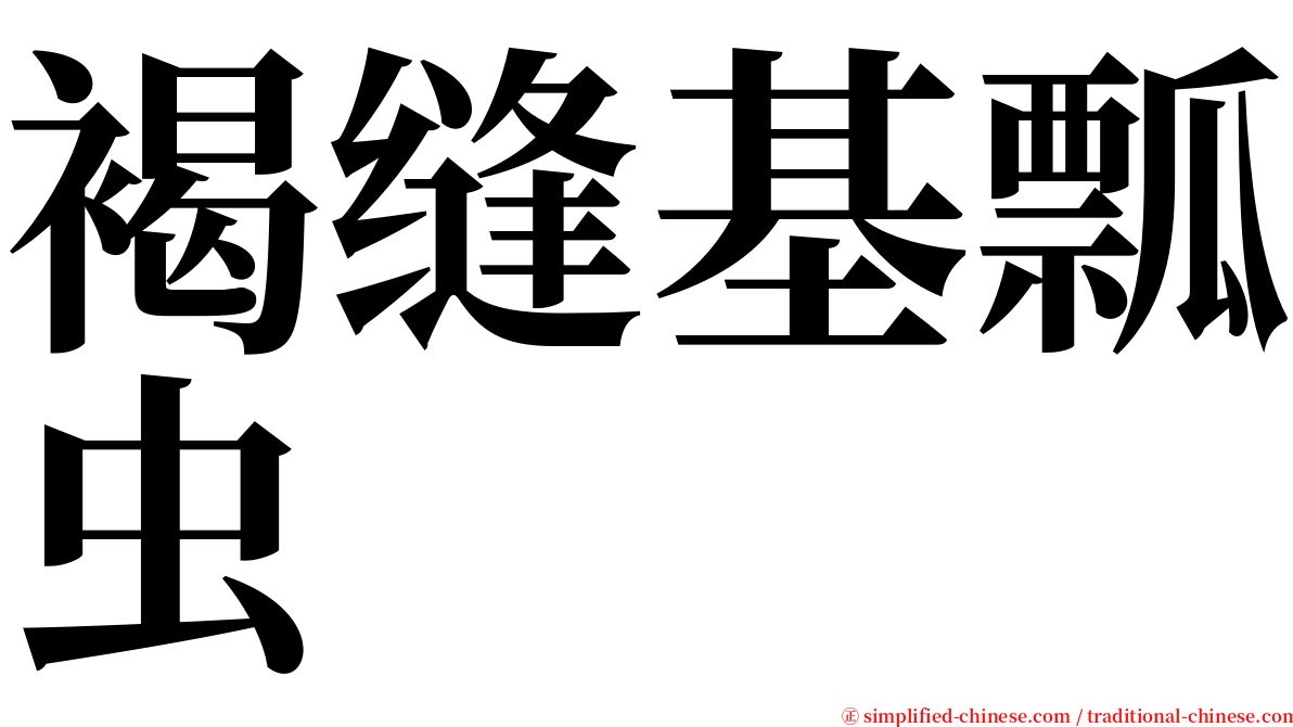 褐缝基瓢虫 serif font
