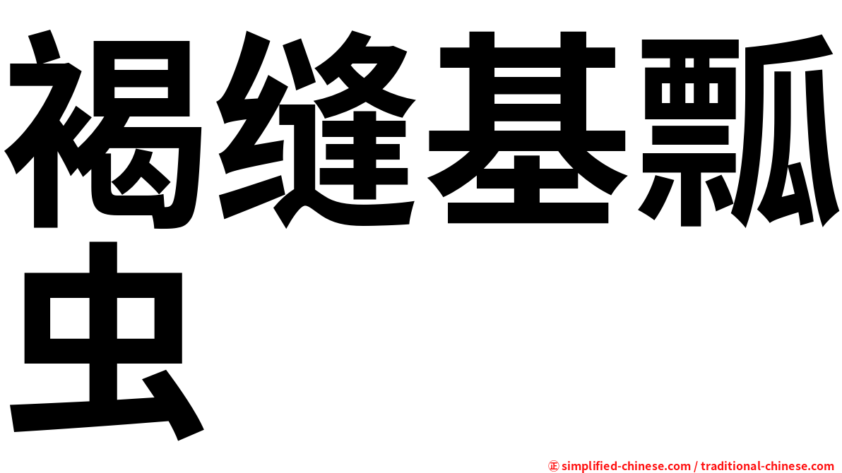 褐缝基瓢虫