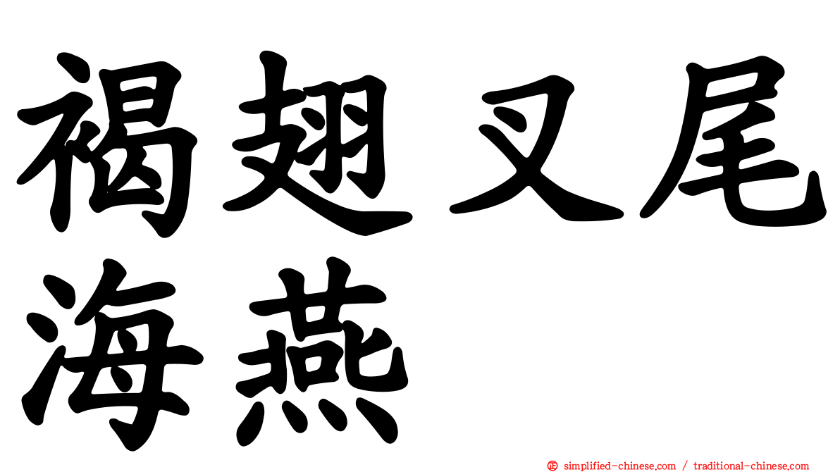 褐翅叉尾海燕