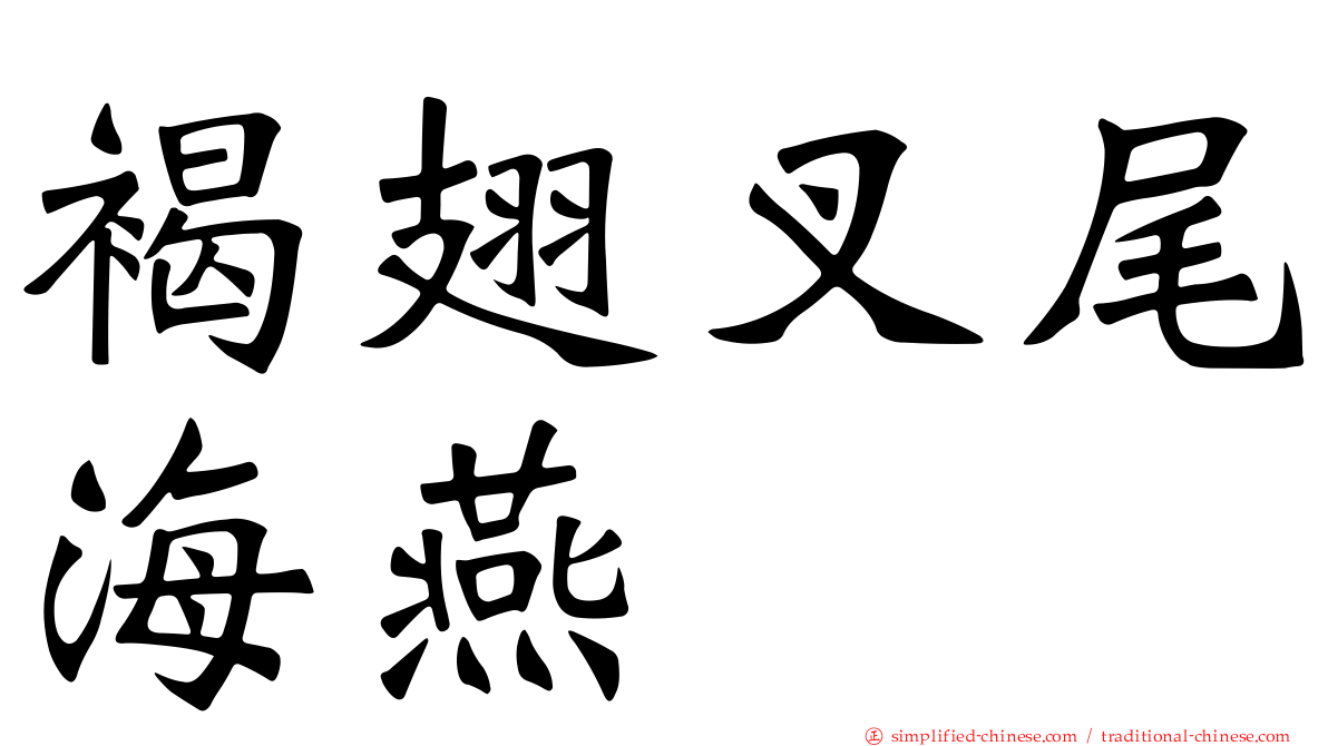 褐翅叉尾海燕