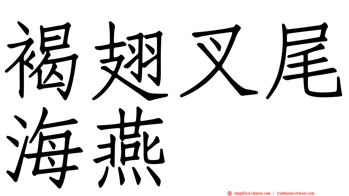 褐翅叉尾海燕