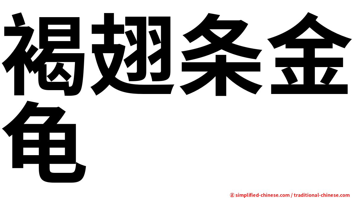 褐翅条金龟