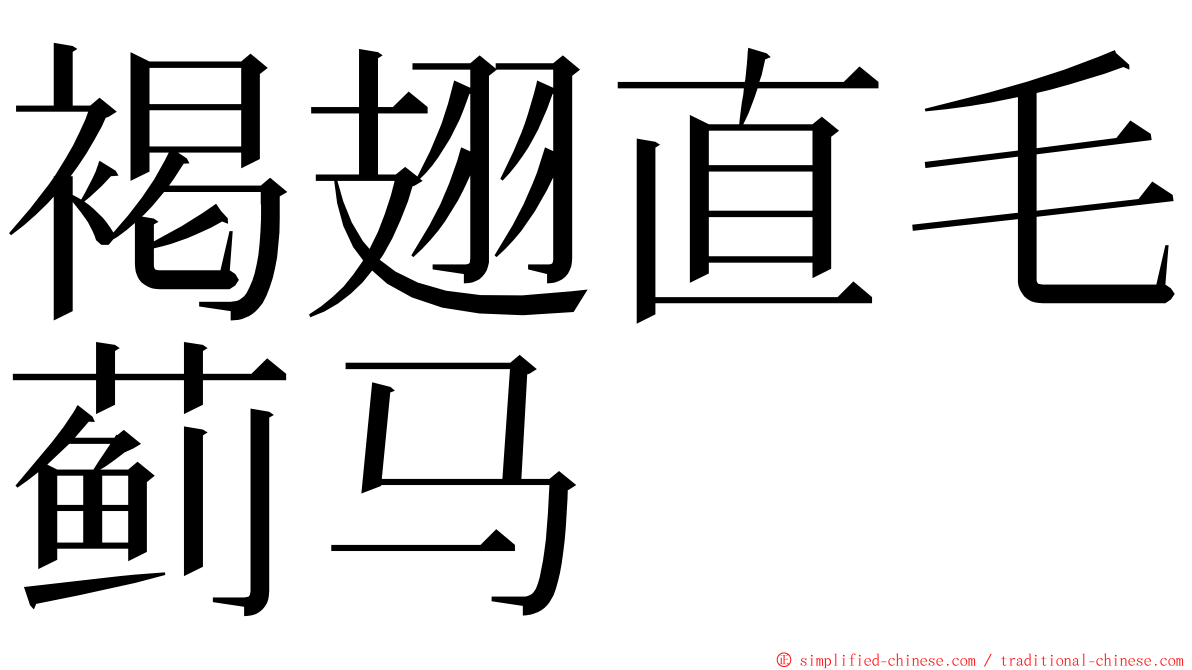 褐翅直毛蓟马 ming font
