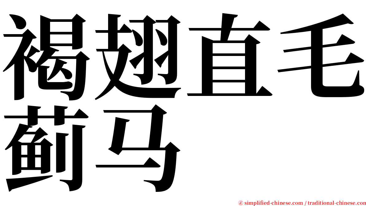 褐翅直毛蓟马 serif font
