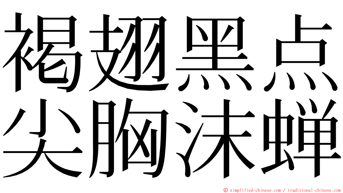 褐翅黑点尖胸沫蝉 ming font