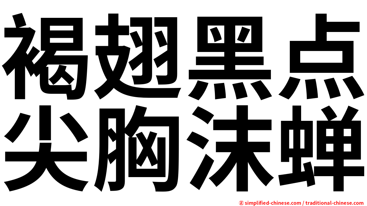 褐翅黑点尖胸沫蝉