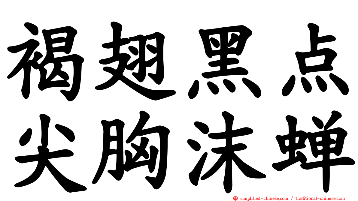 褐翅黑点尖胸沫蝉