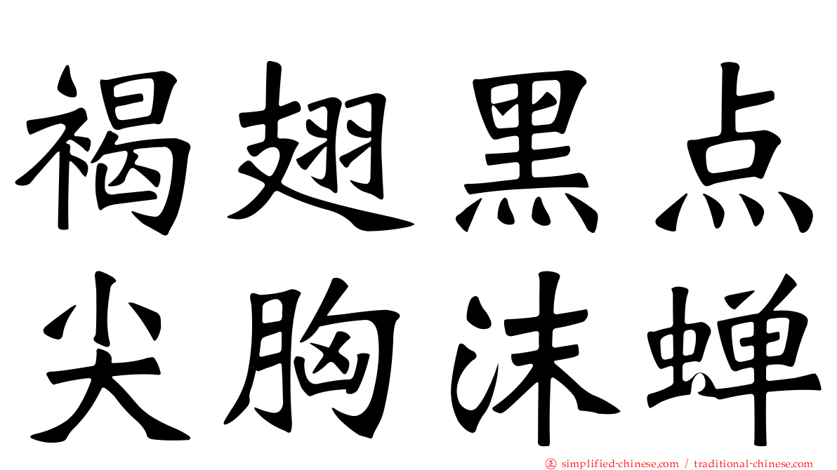 褐翅黑点尖胸沫蝉