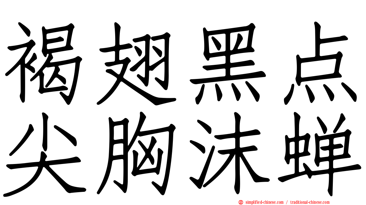 褐翅黑点尖胸沫蝉