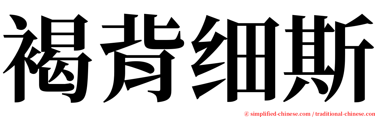 褐背细斯 serif font