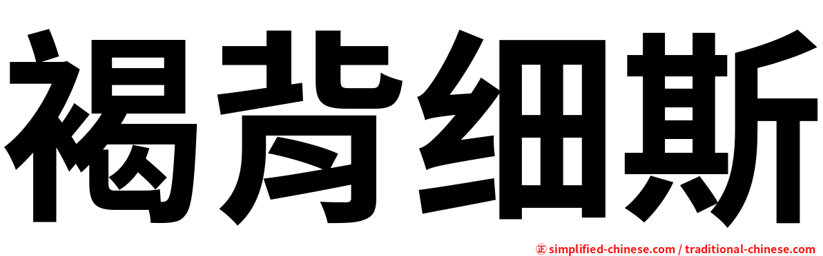 褐背细斯