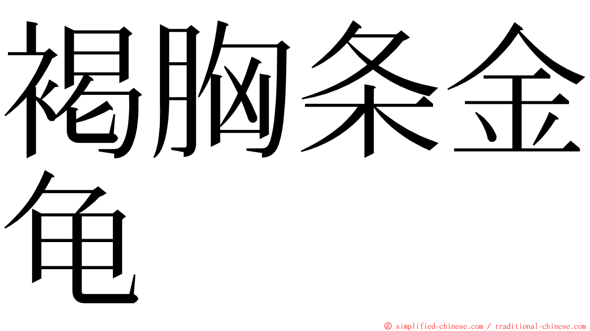 褐胸条金龟 ming font