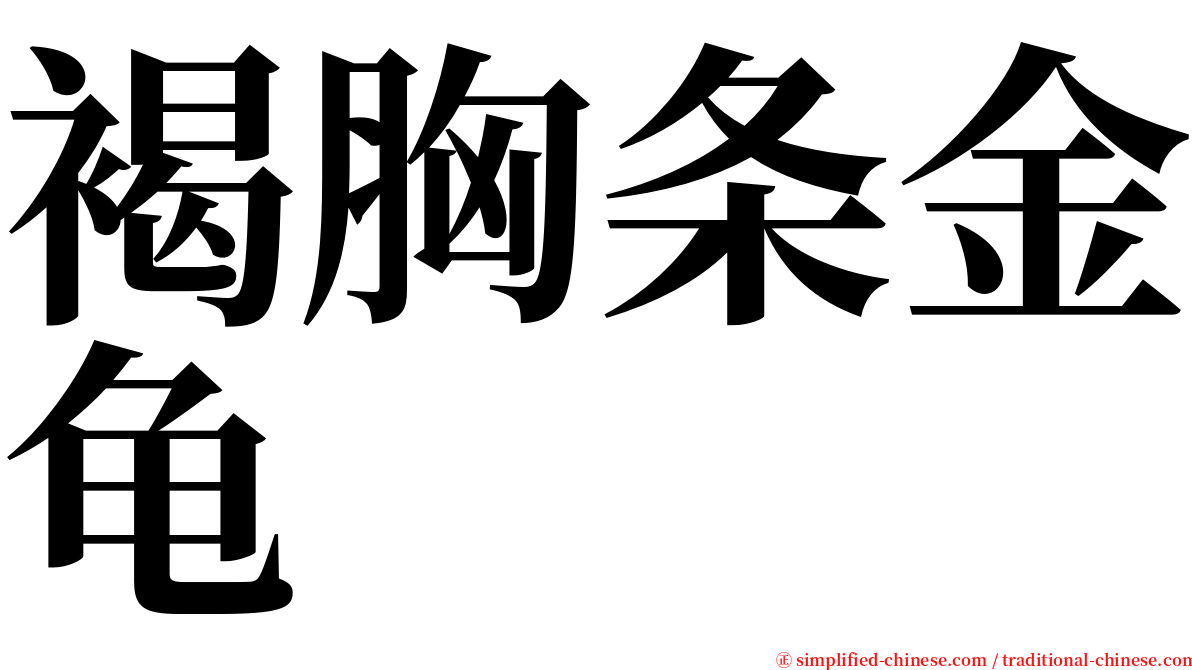 褐胸条金龟 serif font