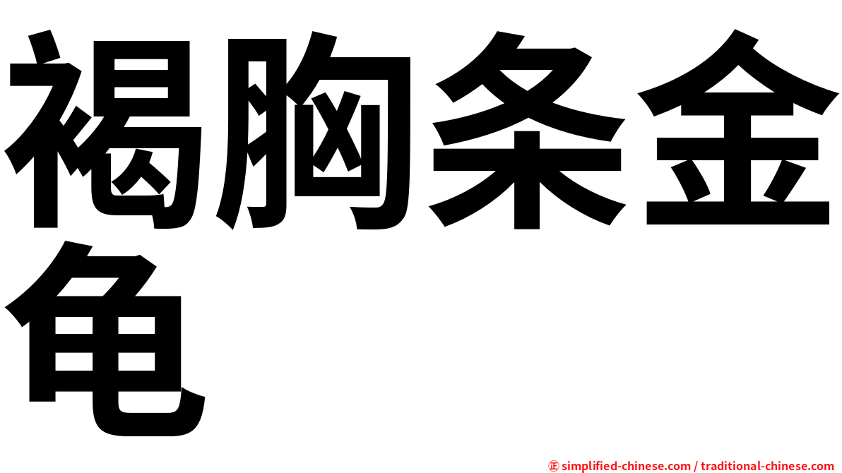褐胸条金龟