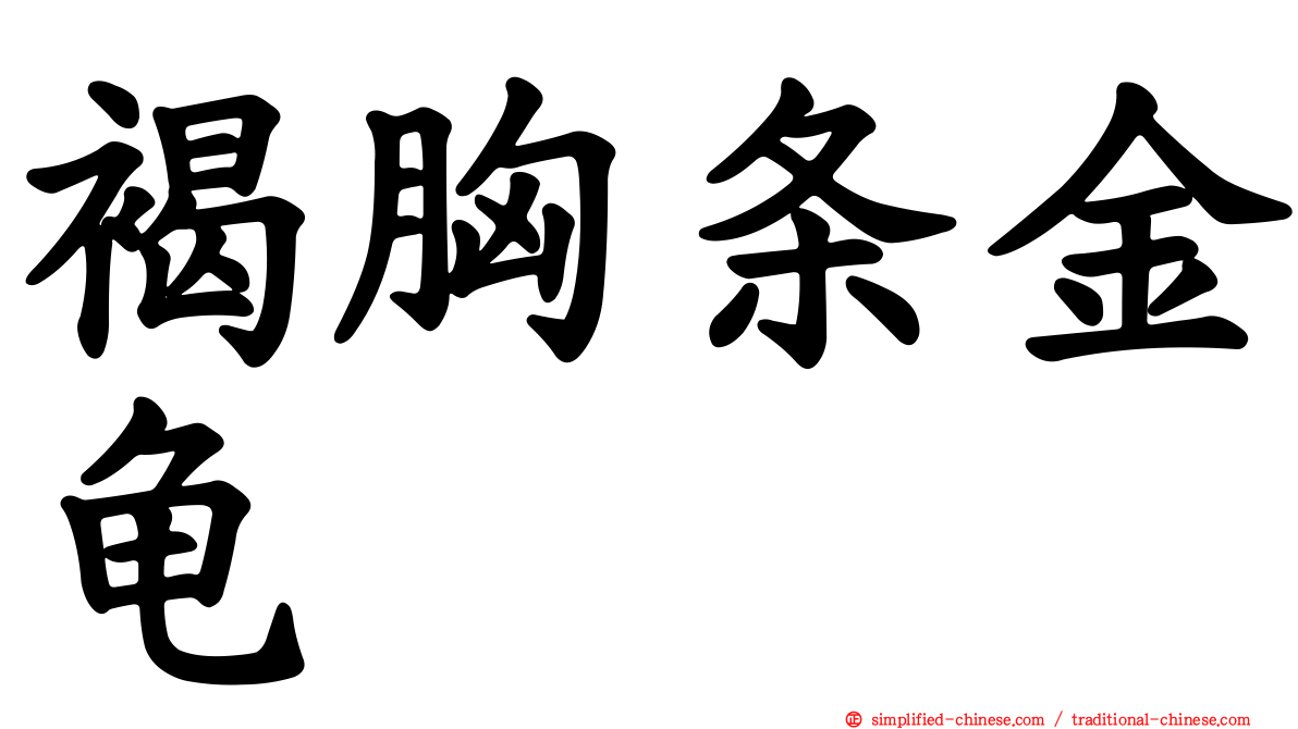 褐胸条金龟