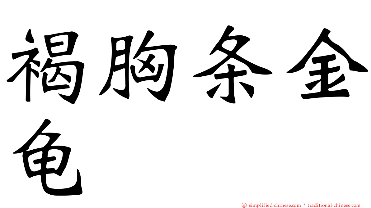 褐胸条金龟