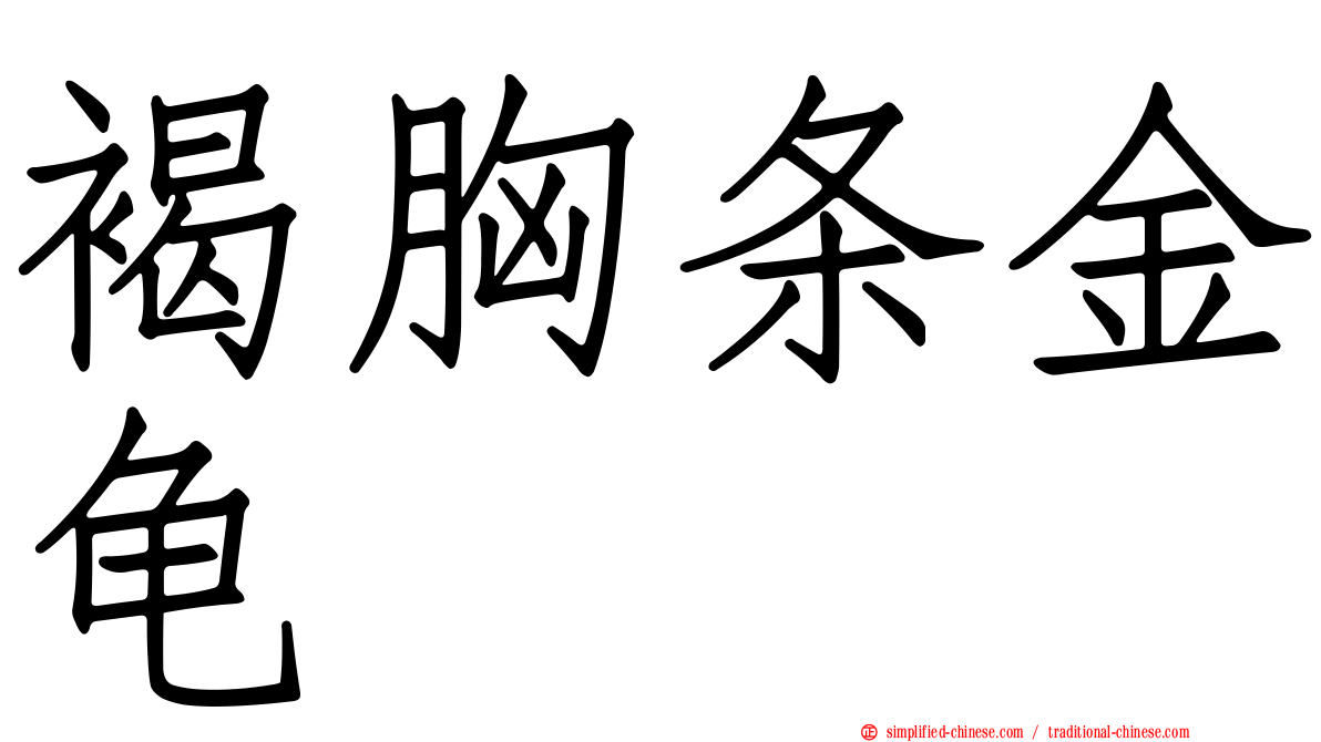 褐胸条金龟