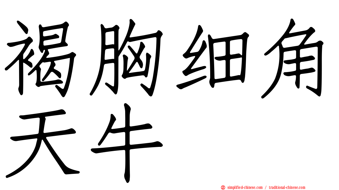 褐胸细角天牛