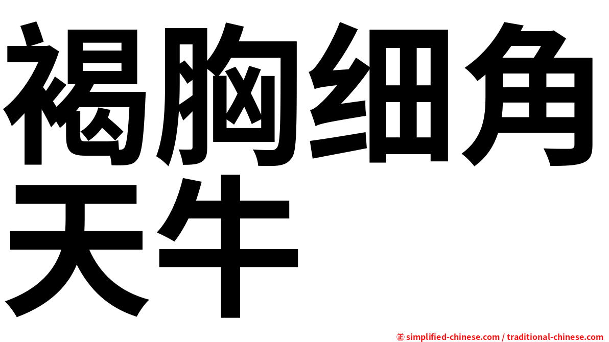 褐胸细角天牛