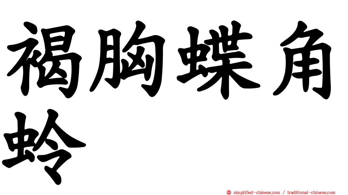 褐胸蝶角蛉