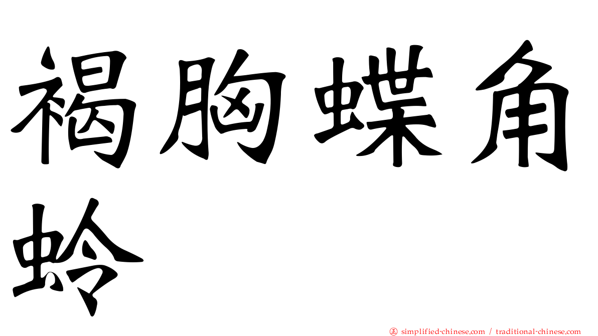 褐胸蝶角蛉