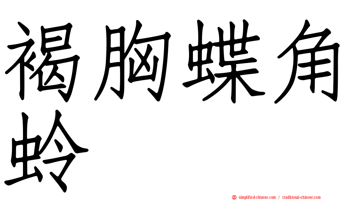 褐胸蝶角蛉