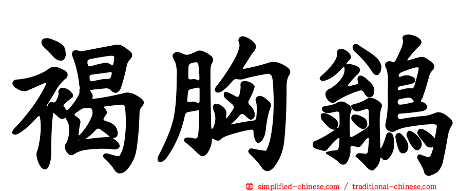 褐胸鹟