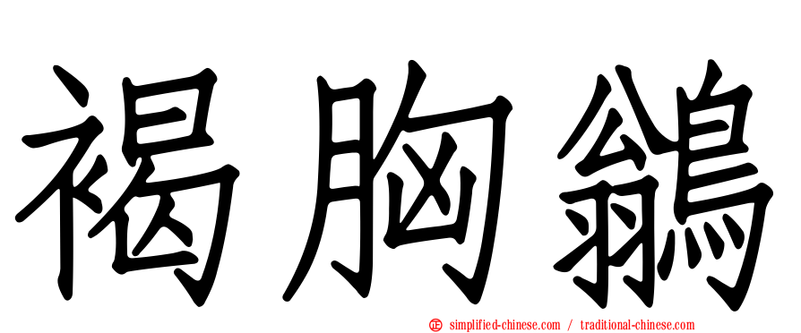 褐胸鹟