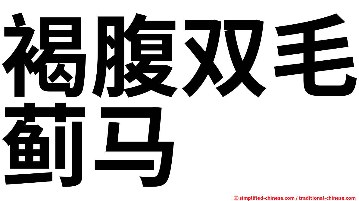 褐腹双毛蓟马
